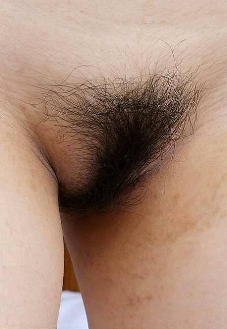 Hairy women nudes