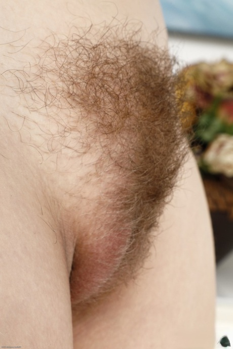 Naked hairy young pussies