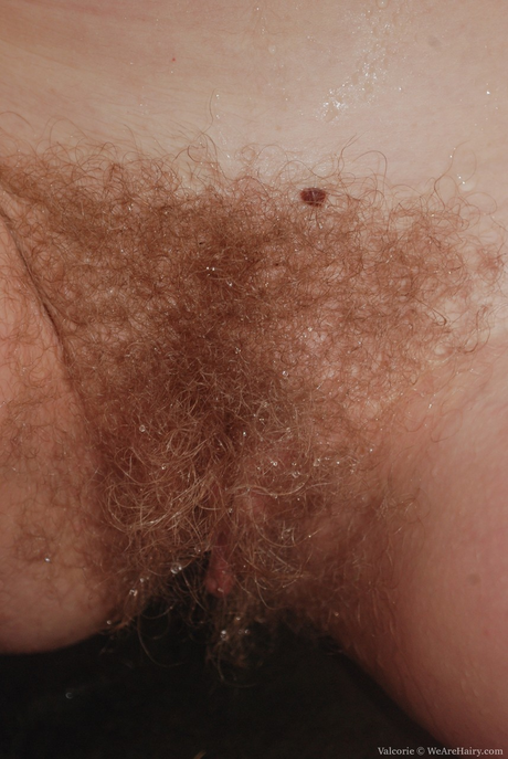 Hairy blonde pussy forest - 8 Hairy blonde pussy forest - 8